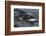 Porpoising Northern Fur Seal (Callorhinus Ursinus), Sakhalin Island, Russia, Eurasia-Mick Baines-Framed Photographic Print