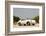 Porsche 356 1600 Super 1960-Simon Clay-Framed Photographic Print