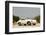 Porsche 356 1600 Super 1960-Simon Clay-Framed Photographic Print