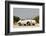 Porsche 356 1600 Super 1960-Simon Clay-Framed Photographic Print