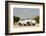 Porsche 356 1600 Super 1960-Simon Clay-Framed Photographic Print