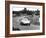 Porsche 550A Rs Coupe, Le Mans 24 Hours, France, 1956-null-Framed Photographic Print