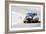Porsche 911 on Race Track Watercolor-NaxArt-Framed Art Print