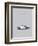 Porsche 911 Turbo Grey-Mark Rogan-Framed Art Print