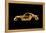 Porsche 911-Octavian Mielu-Framed Stretched Canvas