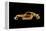 Porsche 911-Octavian Mielu-Framed Stretched Canvas