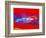 Porsche 917 Rothmans 4-NaxArt-Framed Art Print