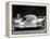 Porsche 956 on its Way to Winning the Le Mans 24 Hour Race, France, 1983-null-Framed Premier Image Canvas