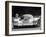 Porsche 956 on its Way to Winning the Le Mans 24 Hour Race, France, 1983-null-Framed Premium Photographic Print