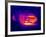 Porsche Car, Thermogram-Tony McConnell-Framed Photographic Print