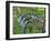 Port Angeles Falls I-George Johnson-Framed Photographic Print