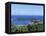 Port Antonio, Jamaica-Doug Pearson-Framed Premier Image Canvas