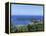 Port Antonio, Jamaica-Doug Pearson-Framed Premier Image Canvas