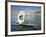 Port Carrying Barcos, Porto, Portugal-Peter Adams-Framed Photographic Print