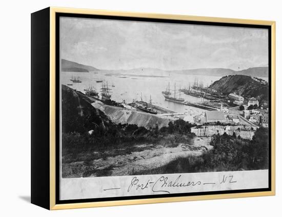 Port Chalmers-null-Framed Premier Image Canvas