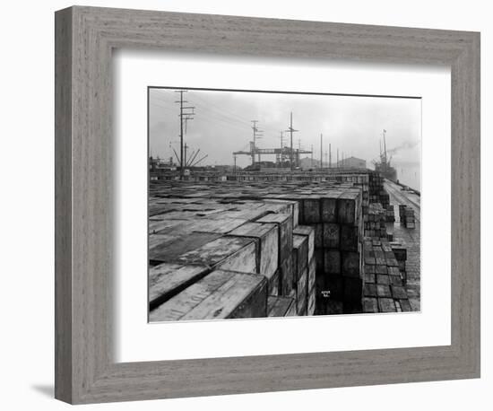 Port Commission Dock, Seattle, Undated-Asahel Curtis-Framed Giclee Print