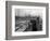 Port Commission Dock, Seattle, Undated-Asahel Curtis-Framed Giclee Print