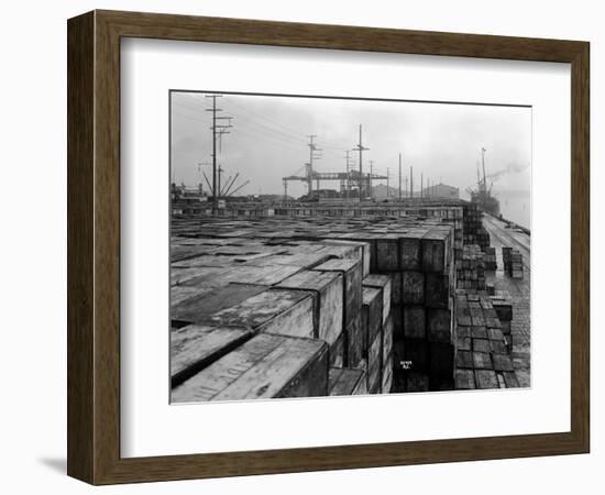 Port Commission Dock, Seattle, Undated-Asahel Curtis-Framed Giclee Print