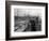 Port Commission Dock, Seattle, Undated-Asahel Curtis-Framed Giclee Print