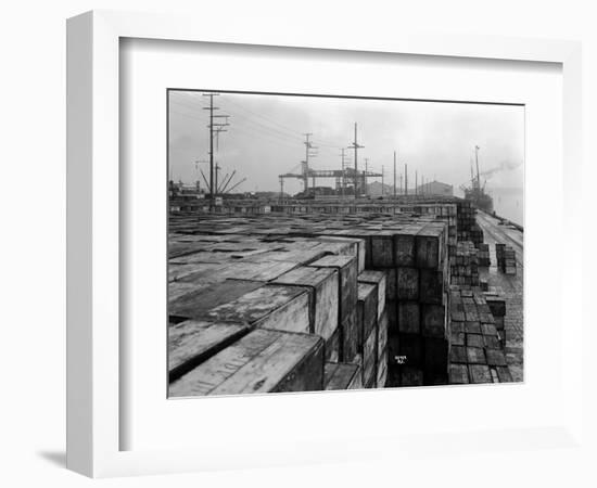 Port Commission Dock, Seattle, Undated-Asahel Curtis-Framed Giclee Print