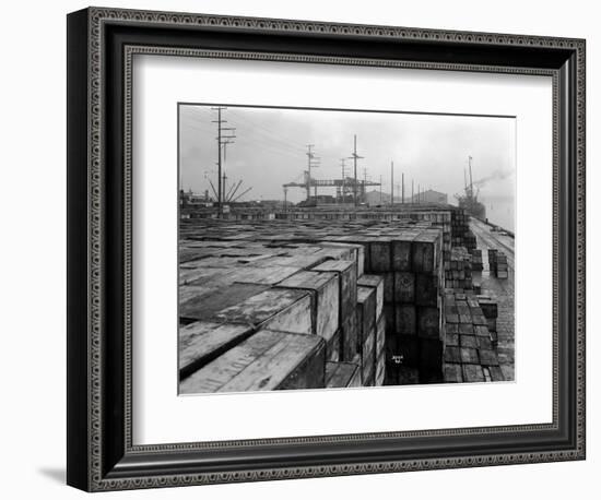 Port Commission Dock, Seattle, Undated-Asahel Curtis-Framed Giclee Print