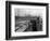 Port Commission Dock, Seattle, Undated-Asahel Curtis-Framed Giclee Print