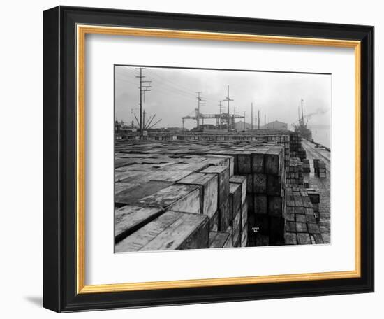 Port Commission Dock, Seattle, Undated-Asahel Curtis-Framed Giclee Print