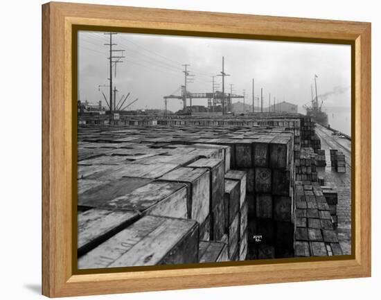 Port Commission Dock, Seattle, Undated-Asahel Curtis-Framed Premier Image Canvas