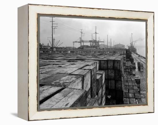 Port Commission Dock, Seattle, Undated-Asahel Curtis-Framed Premier Image Canvas