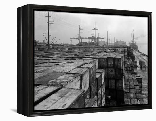 Port Commission Dock, Seattle, Undated-Asahel Curtis-Framed Premier Image Canvas