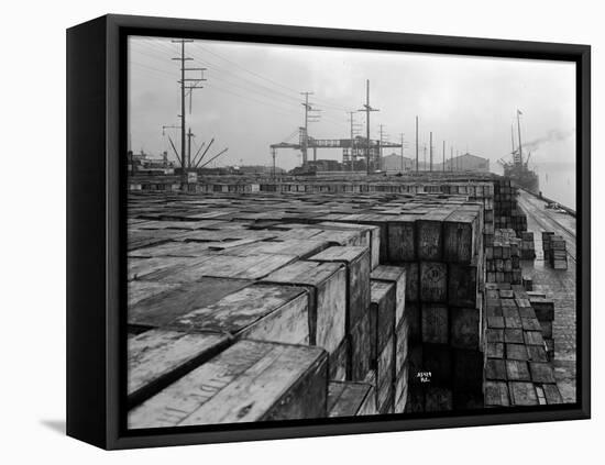 Port Commission Dock, Seattle, Undated-Asahel Curtis-Framed Premier Image Canvas