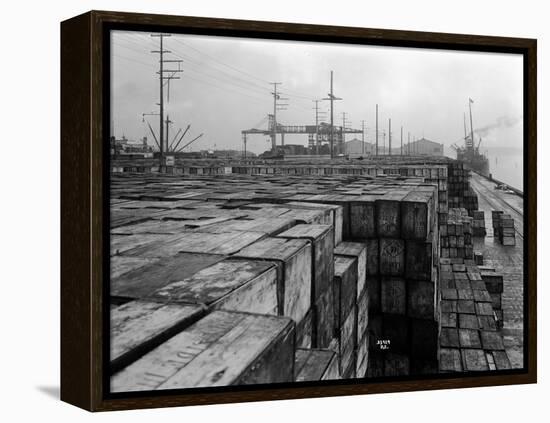 Port Commission Dock, Seattle, Undated-Asahel Curtis-Framed Premier Image Canvas
