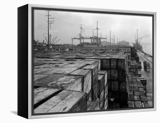 Port Commission Dock, Seattle, Undated-Asahel Curtis-Framed Premier Image Canvas