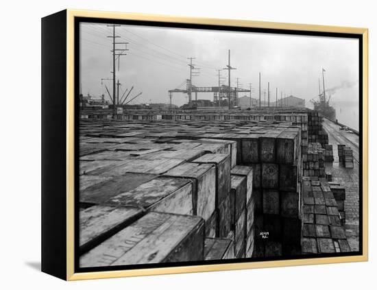 Port Commission Dock, Seattle, Undated-Asahel Curtis-Framed Premier Image Canvas