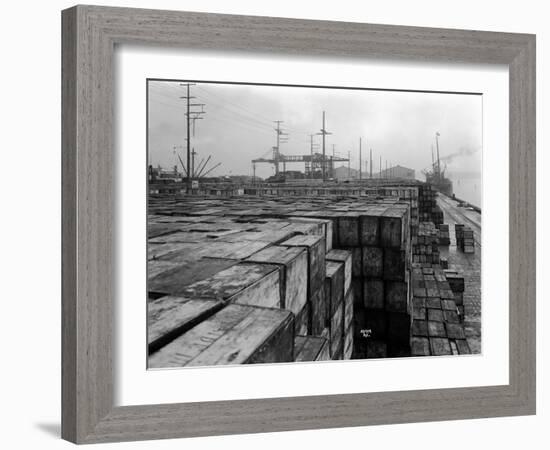 Port Commission Dock, Seattle, Undated-Asahel Curtis-Framed Giclee Print