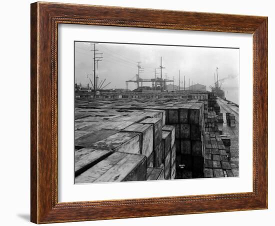 Port Commission Dock, Seattle, Undated-Asahel Curtis-Framed Giclee Print