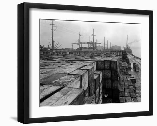 Port Commission Dock, Seattle, Undated-Asahel Curtis-Framed Giclee Print