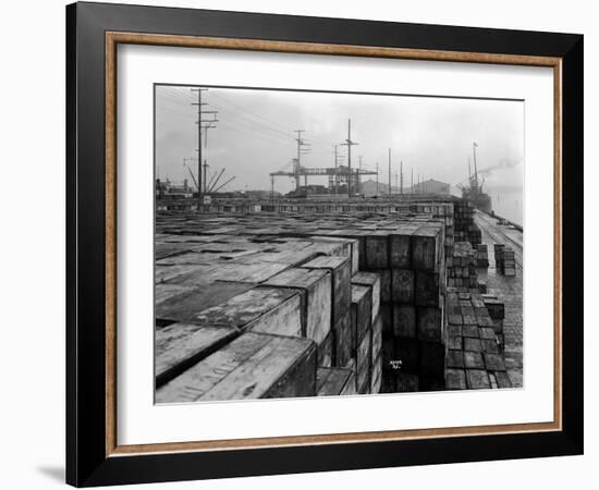 Port Commission Dock, Seattle, Undated-Asahel Curtis-Framed Giclee Print