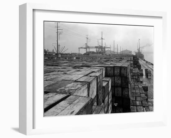 Port Commission Dock, Seattle, Undated-Asahel Curtis-Framed Giclee Print