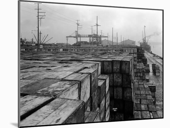 Port Commission Dock, Seattle, Undated-Asahel Curtis-Mounted Giclee Print