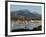 Port De Pollenca, Mallorca, Balearic Islands, Spain, Mediterranean, Europe-Hans Peter Merten-Framed Photographic Print