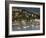 Port De Pollenca, Mallorca, Balearic Islands, Spain, Mediterranean, Europe-Hans Peter Merten-Framed Photographic Print