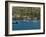 Port Elizabeth Harbour, Bequia, St. Vincent and the Grenadines, Windward Islands, Caribbean-Michael DeFreitas-Framed Photographic Print