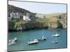 Port Isaac, Cornwall, England, United Kingdom-Adam Woolfitt-Mounted Photographic Print