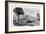 Port Limon and Uvas Island, C1890-A Kohl-Framed Giclee Print