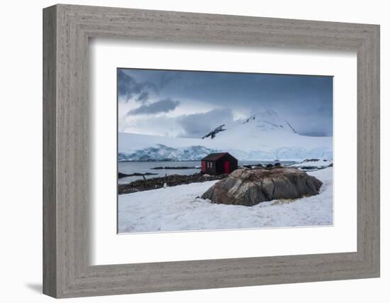 Port Lockroy Research Station, Antarctica, Polar Regions-Michael Runkel-Framed Photographic Print