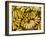 Port Louis, Central Market, Bananas, Mauritius-Walter Bibikow-Framed Photographic Print