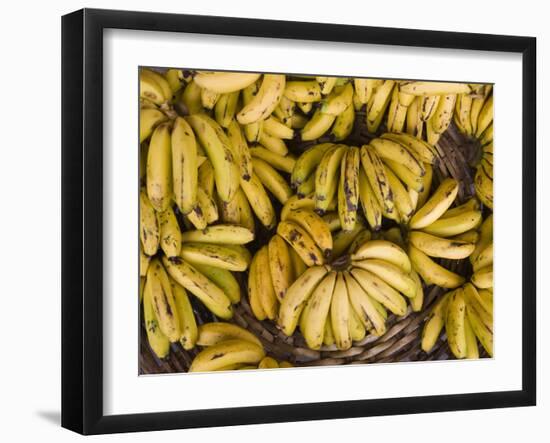 Port Louis, Central Market, Bananas, Mauritius-Walter Bibikow-Framed Photographic Print