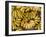 Port Louis, Central Market, Bananas, Mauritius-Walter Bibikow-Framed Photographic Print