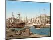 Premium Giclee Print
